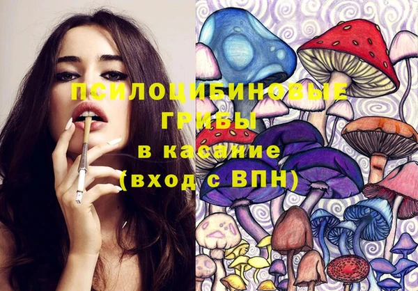 молекула духа Куйбышев