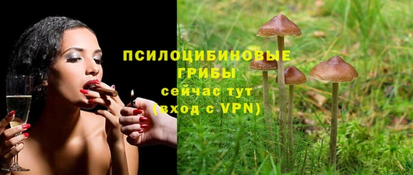 героин Кукмор