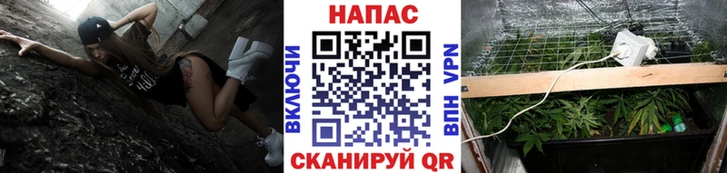 Канабис планчик где купить наркотик Мещовск